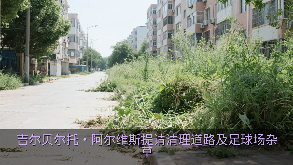 吉尔贝尔托·阿尔维斯提请清理道路及足球场杂草