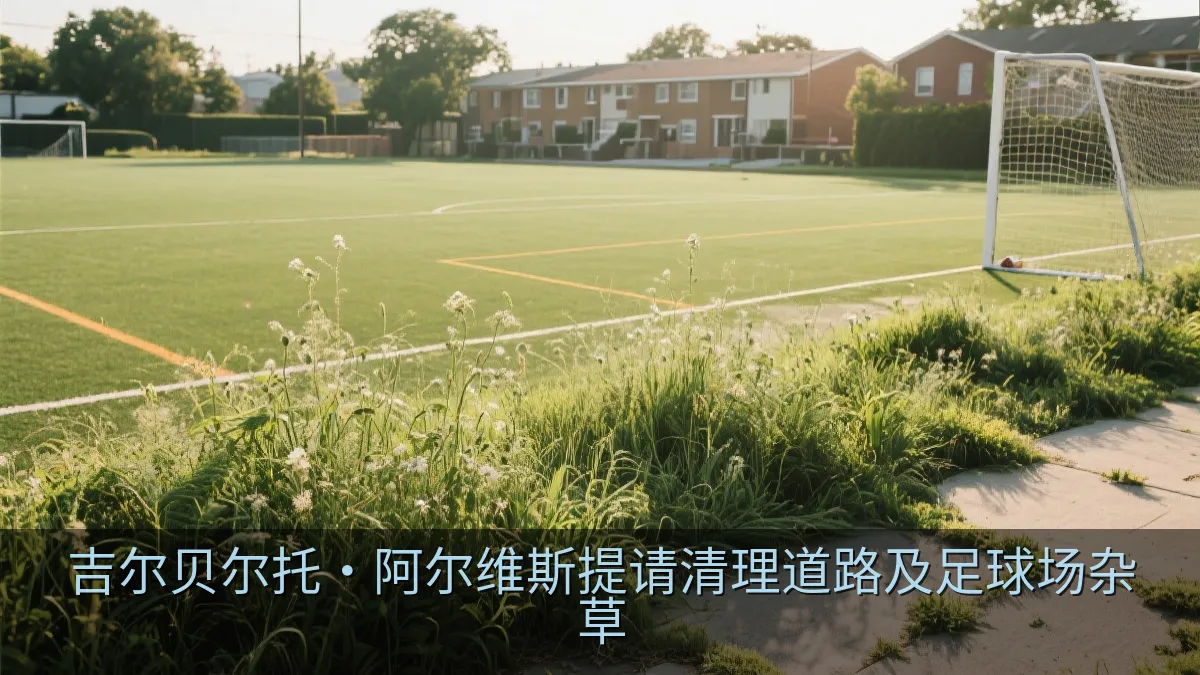 杂草较多的社区足球场公共空间